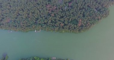 Nehir orman yaz şehirde arasında