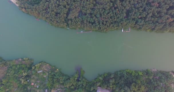 森林里和在夏天镇之间的河 — 图库视频影像