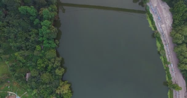 Passerella sospesa sul fiume tra la città e la foresta — Video Stock