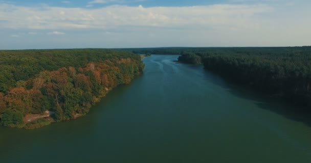 Floden med skog på båda bankerna i Östeuropa — Stockvideo