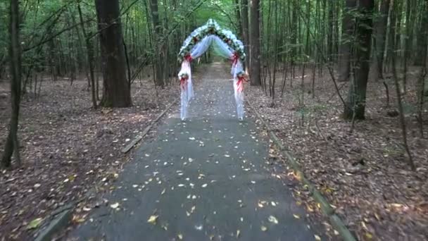 Arco de boda en bosque de verano — Vídeo de stock