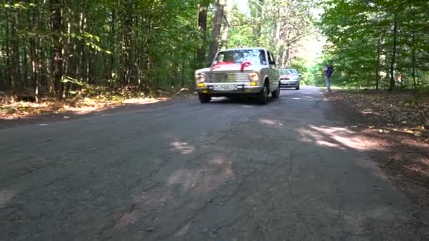 Paseos en coche recién casados en carretera forestal — Vídeos de Stock