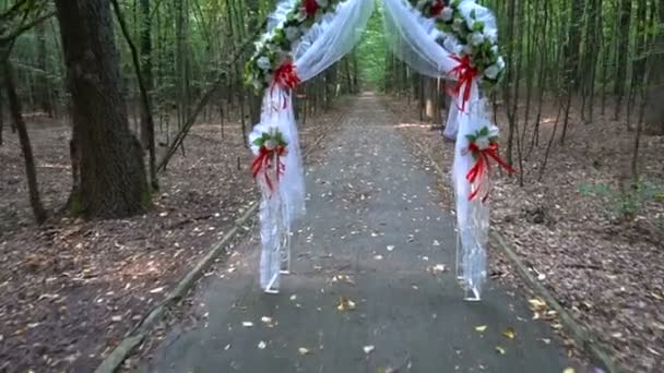 Свадебная арка в летнем лесу — стоковое видео