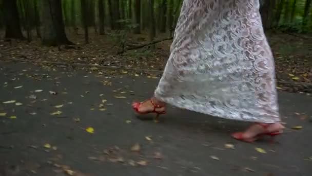 Father brings the bride to the wedding arch in the forest — Stock Video