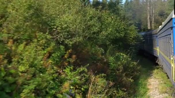 Movement of trains on mountain forest — Stock Video