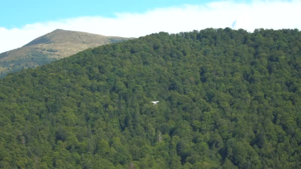 Vuelo con drones sobre un fondo de bosque montañoso — Vídeo de stock