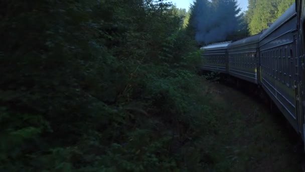 Circulação de comboios na floresta de montanha — Vídeo de Stock