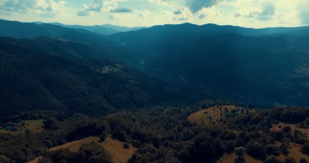 Bergskog och äng i sommar — Stockvideo