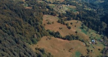 Dağ orman ve yaz çayır