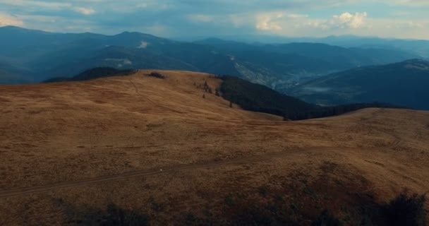 Floresta de montanha e prado no verão — Vídeo de Stock