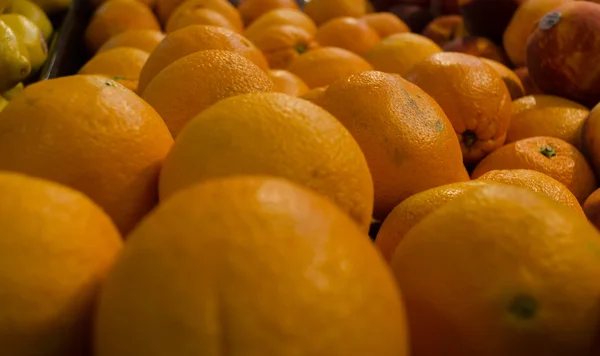 Navel portakal Florida'da hasat