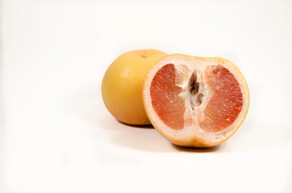 Pomelo de un año y medio aislado sobre fondo blanco — Foto de Stock