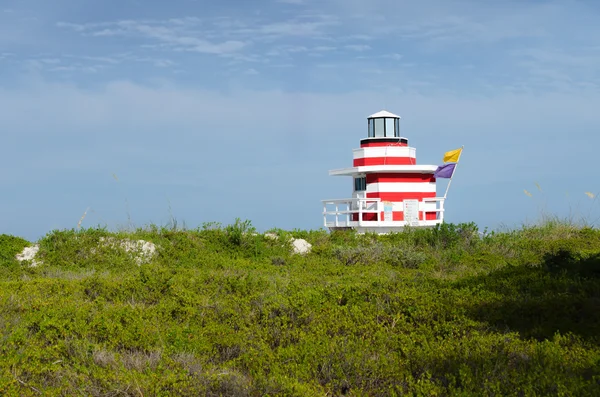 Yaz manzara mavi gökyüzü ve yeşil ön plan çevrili bir renkli cankurtaran ev ile