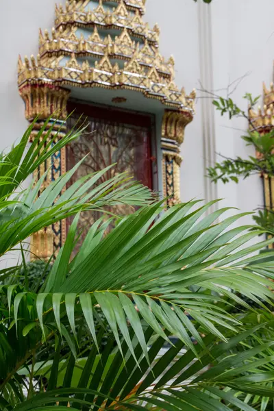 Yaprakları ile Tay pencere