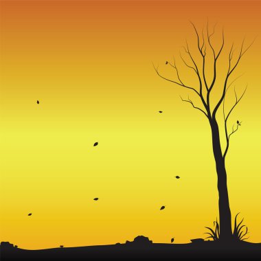 Çorak ağaç sonbaharda yalnız