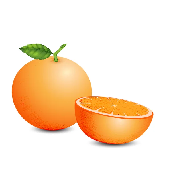 De verse Mandarijn oranje — Stockvector