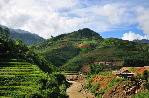 Szép rizs teraszok Vietnamban, a Sapa — Stock Fotó