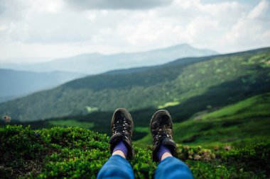 Gezgin bacakları dağda