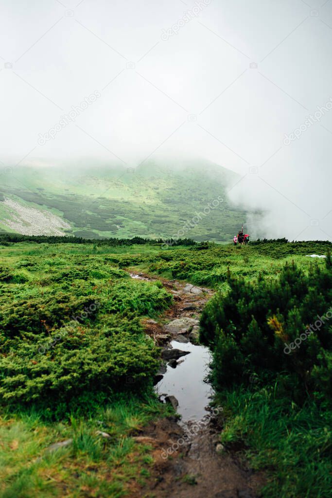 A footpath on a foggy day in the Carpathian mountains