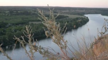 Gün batımında manzara çok güzel. Bir çim çalısı dağın tepesinde rüzgarda sallanıyor vadideki bir nehrin arka planına karşı. Yukarıdan manzara. 4K.