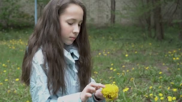 Portrait d'une adolescente aux cheveux longs qui renifle les pissenlits jaunes et sourit doucement assis sur l'herbe dans le jardin. Ferme là. Concept. 4K. — Video