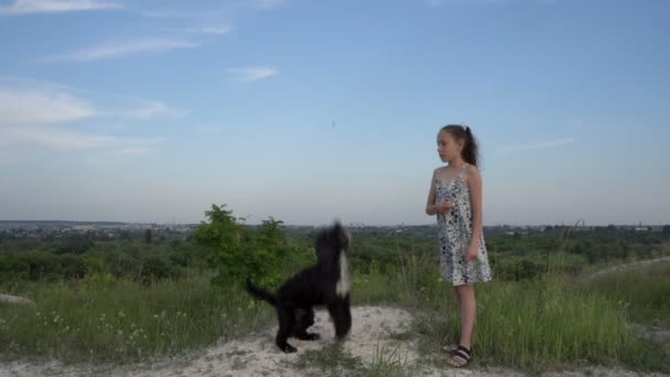 Zabawny piesek skacze wysoko dla kawałków jedzenia, które mała dziewczynka do niego rzuca. Dziecko bawi się z uroczym czarnym psem na świeżym powietrzu o zachodzie słońca w letni dzień. 4K. — Wideo stockowe