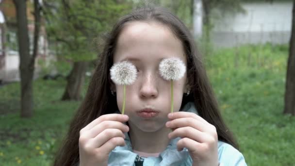 Необычный портрет маленькой девочки-подростка с белыми пушистыми одуванчиками во дворе дома. Она играет с ними и ставит их на глаза. Закрывай. Концепция. 4K — стоковое видео