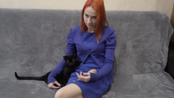 Dziewczyna trzyma pięknego czarnego kota i białego szczura na kolanach i bawi się z nimi siedząc na kanapie w domu. Portret. Koncepcja. 4K — Wideo stockowe