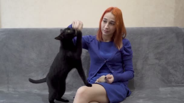 这个女孩和一只黑猫和一只米老鼠一起在家里沙发上玩耍和喂宠物。他们互相取食。有趣的宠物。靠近点肖像。4K — 图库视频影像