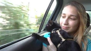 Genç bir kız siyah bir kediyle arabanın arka koltuğuna biniyor. Oynuyorlar ve pencereden dışarı bakıyorlar. Kavram. - Yakın çekim. 4K