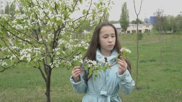 長い髪をした可愛い10代の少女は、晴れた春の日に都市公園に一人で立っている間、開花木の枝を保持し、調べます。コンセプト。接近中だ。4K — ストック動画