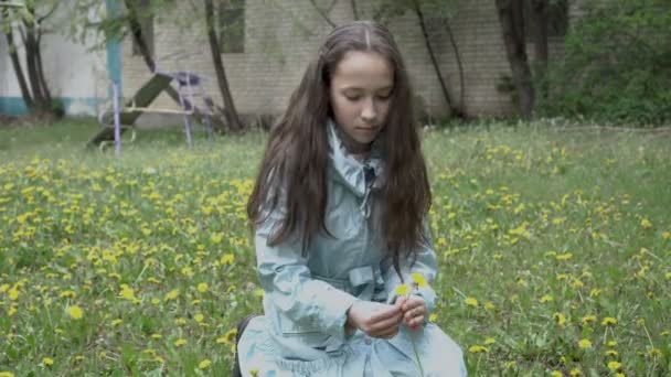 明るい春の日に彼女の家の裏庭に草の上に黄色のタンポポを収集長い髪を持つ大胆な十代の少女の肖像画。コンセプト。4k. — ストック動画