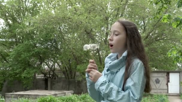 Een charmant jong tienermeisje blaast op witte pluizige paardebloemen terwijl ze op een lentedag in de tuin van een huis staat. Ze blaast haar wangen komisch uit en blaast hard. Concept. Portret. 4k. — Stockvideo