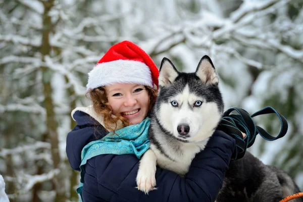 겨울 숲에서 온 허스키 개와 산타 클로스 모자를 쓴 아름다운 소녀. 그녀는 웃으며 카메라를 바라본다. 수평 방향. — 스톡 사진