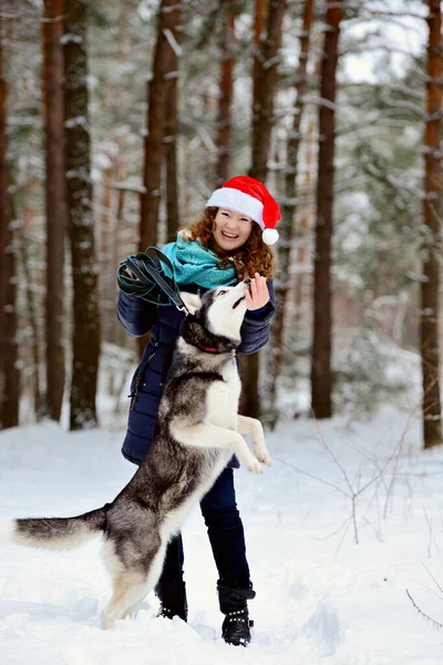 Una chica joven y hermosa con un perro Husky jugando en el bosque de invierno. Entrena y alimenta a su perro. Orientación vertical. — Foto de Stock