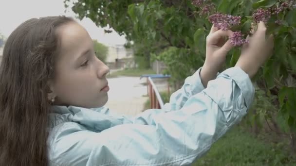 Zbliżenie twarzy młodej dziewczyny, która w wiosenny dzień wyrywa małe różowe kwiaty z zielonego liliowego krzewu. Koncepcja. Portret. 4K — Wideo stockowe