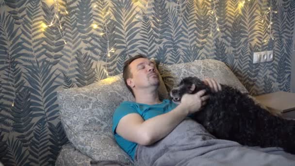 Сонний чоловік грає з милим чорним собакою, лежачи на ліжку в спальні під сірою ковдрою рано вранці. Вони обіймаються і лютують. Крупним планом. 4-кілометровий — стокове відео
