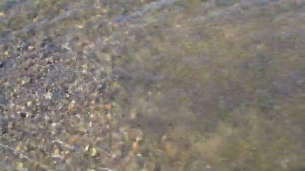 Piękne wielokolorowe kamienie leżą i można je zobaczyć na dnie rzeki, przez czystą wodę w słoneczny dzień. Zbliżenie. Widok góry. 4K — Wideo stockowe