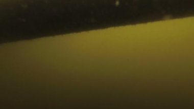 Gerçeküstü sualtı görüntüsü. Kamera, ahşap bir iskelenin altındaki korkunç yeşil bir sisin içinde suyun altına dalıyor ve sonra yüzeye, güneşe ve berrak gökyüzüne çıkıyor. Yeniden doğuş kavramı. 4K