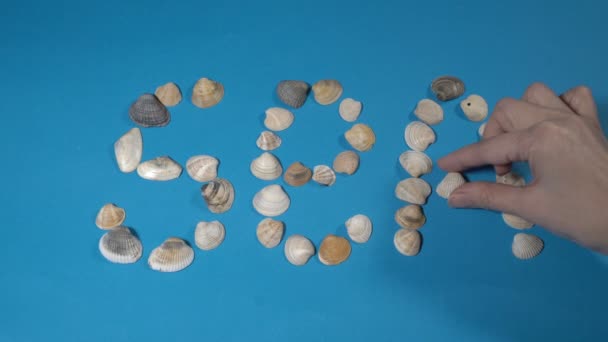 La chica pone la palabra mar sobre un fondo azul de conchas de colores. El concepto soñado de un viaje marítimo. Primer plano de una mano de mujer. Vista superior. 4K — Vídeos de Stock