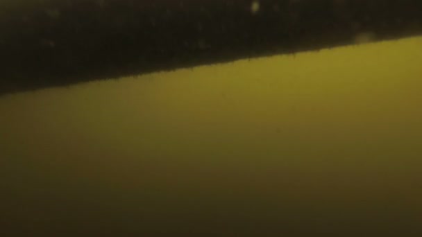 Surreal underwater view. The camera dives under the water in a terrible green haze under a wooden pier, and then floats to the surface to the sun and clear sky. The concept of rebirth. 4K — Stock Video