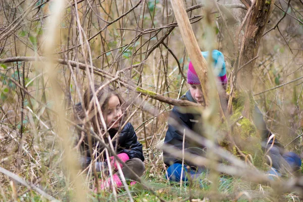 Woodland şubeleri aracılığıyla görülen çocuk