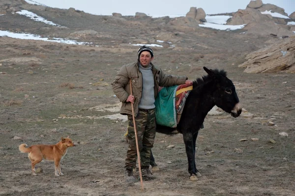 阿塞拜疆牧人接下来对驴和狗 — 图库照片