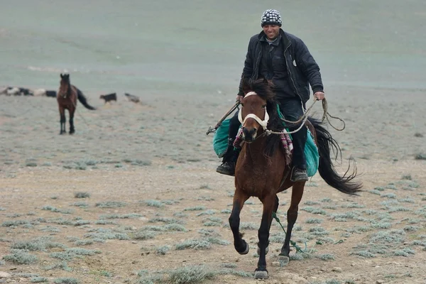 阿塞拜疆牧羊人骑在马背上 — 图库照片