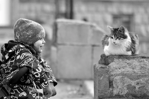 Bakü, Azerbaycan'ın başkenti sokak kedisi ile arabasını içindeki genç kız — Stok fotoğraf