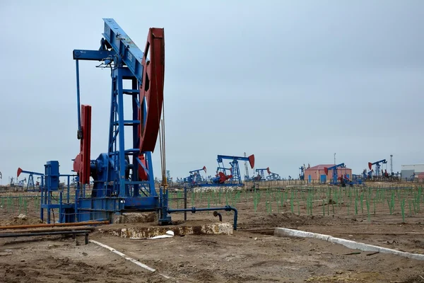 Bakü, Azerbaycan'ın başkenti eteklerinde yer alan on-shore petrol alanındaki eşek başını sallayarak