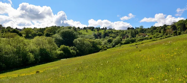 Dimos un paseo encantador a Charlcombe, dulcemente situado en un pequeño valle verde — Foto de Stock