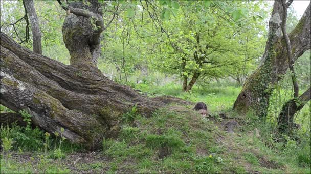 Kleinkind aus Loch im Bauch aufgetaucht — Stockvideo