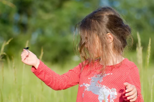 stock image Young child looking at damselfly on hand