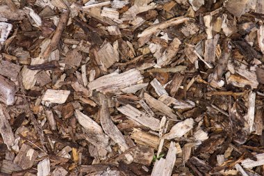 ahşap çip arka plan